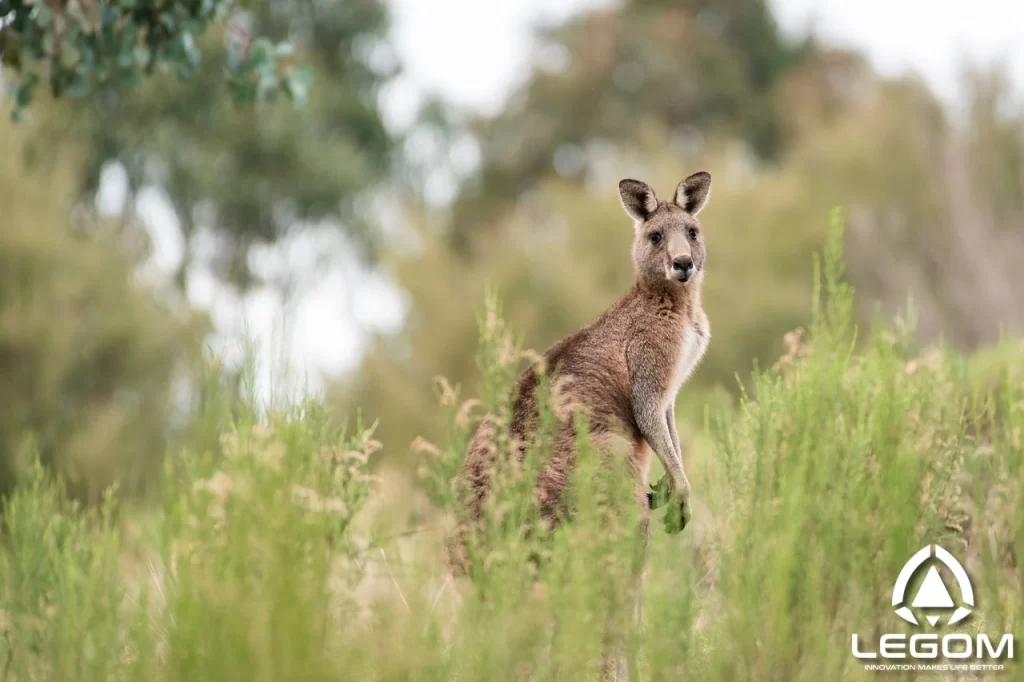 How Hot and How Cold is Australia?